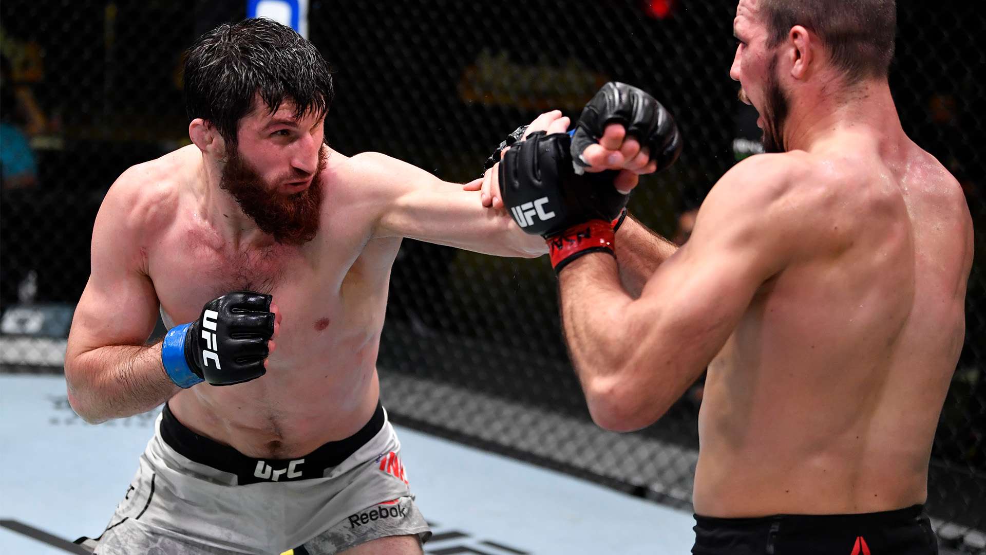 球员特点与 球员特点与